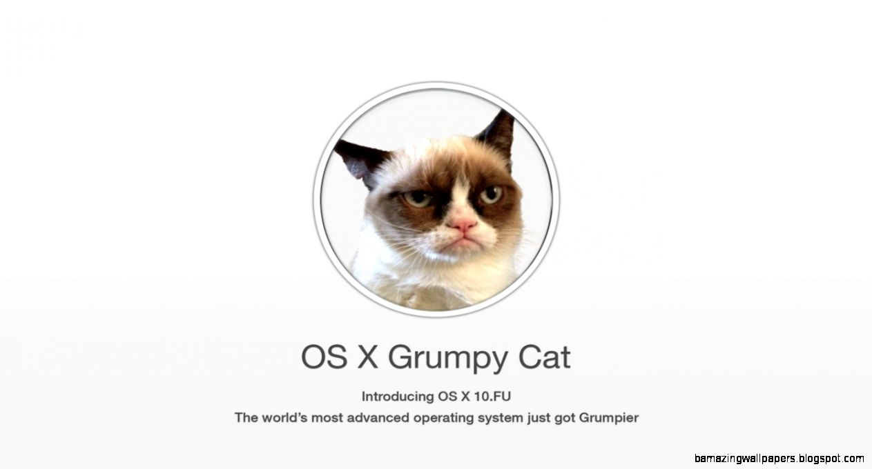 FairerPlatform » Blog Archive OS X Grumpy Cat Wallpaper FairerPlatform » Blog Archive OS X Grumpy Cat Wallpaper