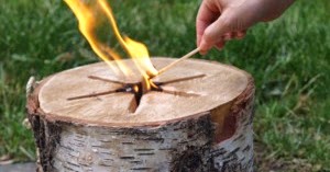 Eco forest bonfire picture