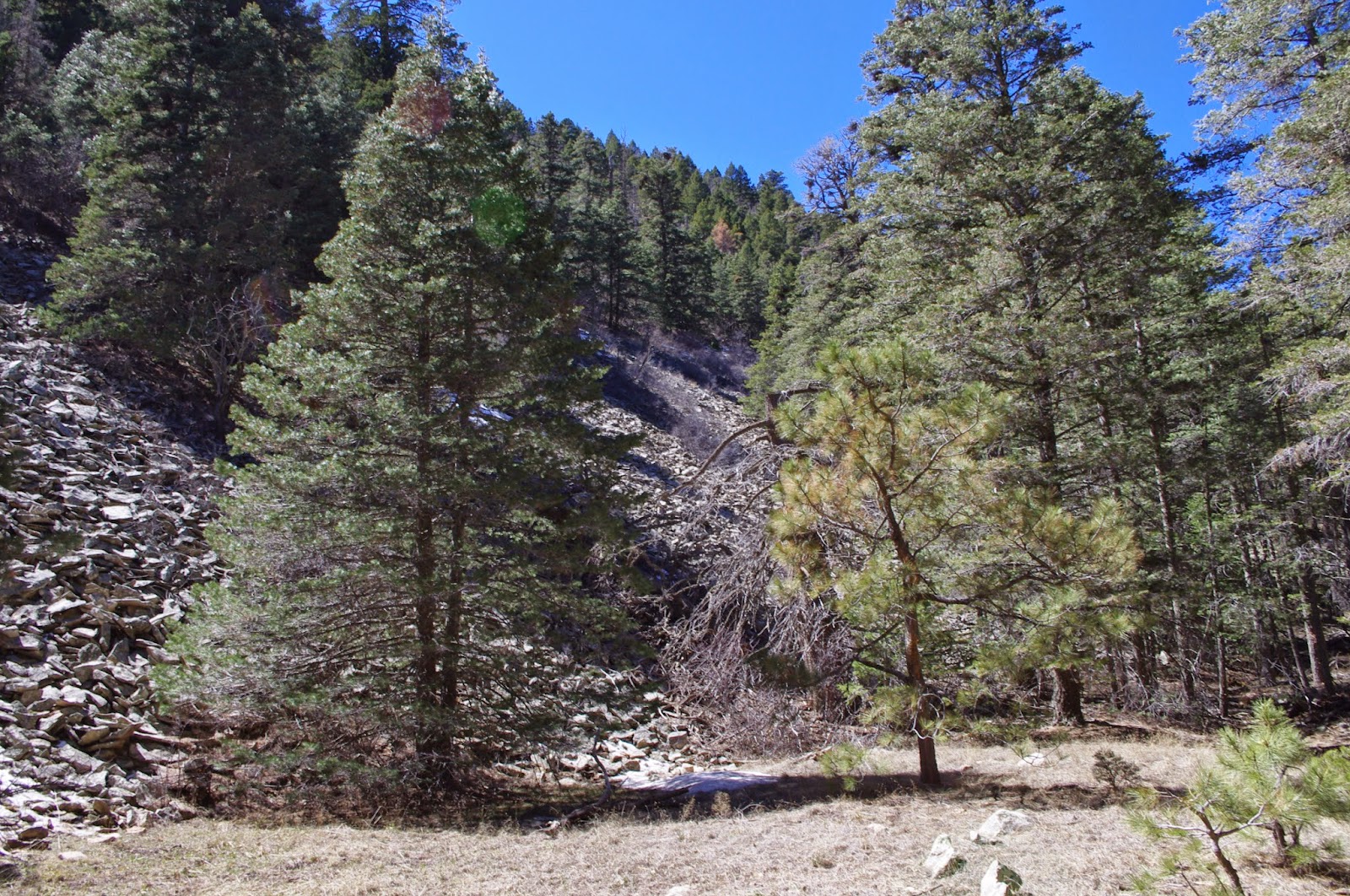 Southern New Mexico Explorer Johnnie Canyon TrailLincoln National Forest
