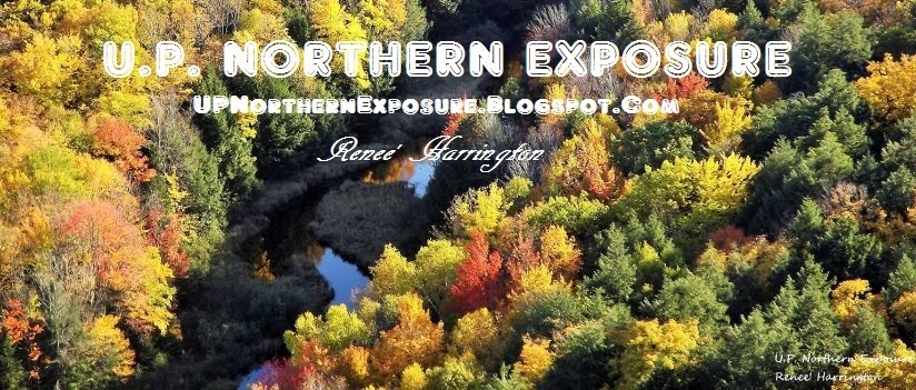                U.P. Northern Exposure 