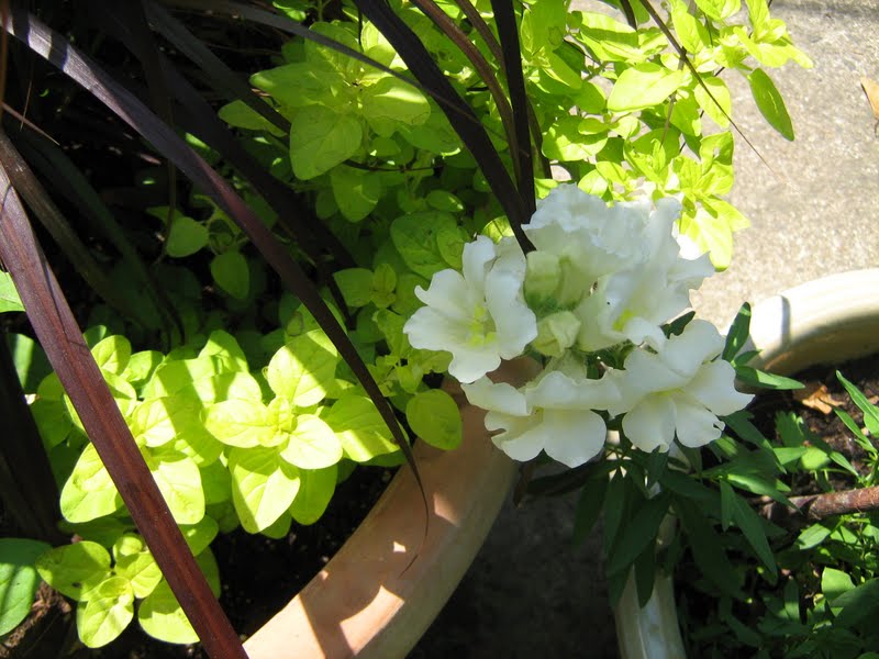 Pot De Jardin En Galet De Rivi Re Carr Naturel H 80 Cm Pots De