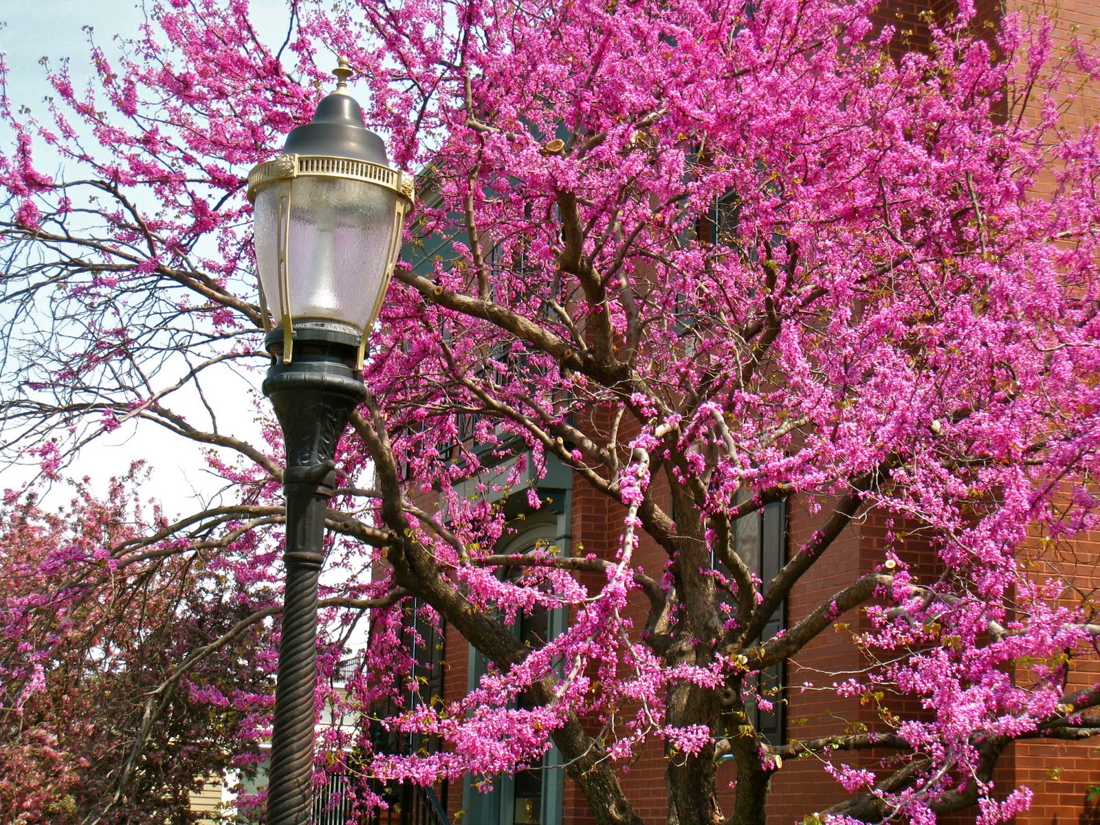 Kansas City Daily Photo May 2011