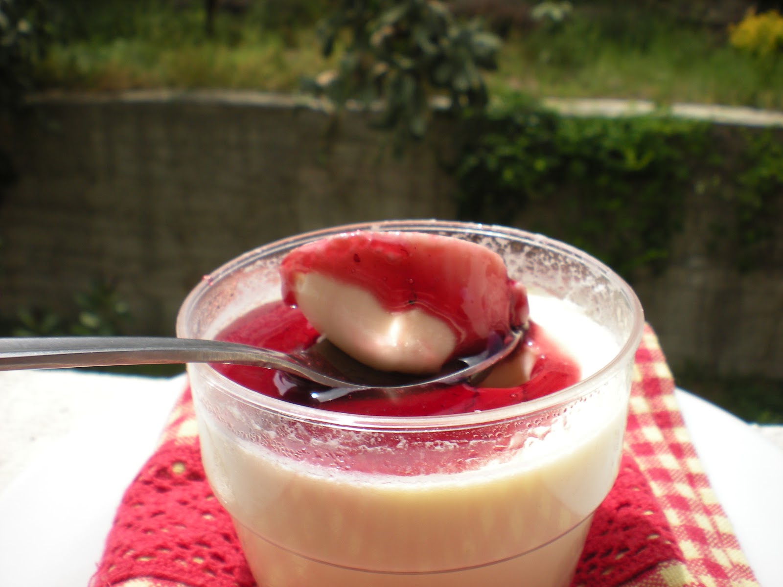 Panna Cotta Alla Grappa E Frutti Di Bosco Profumo Di Sicilia