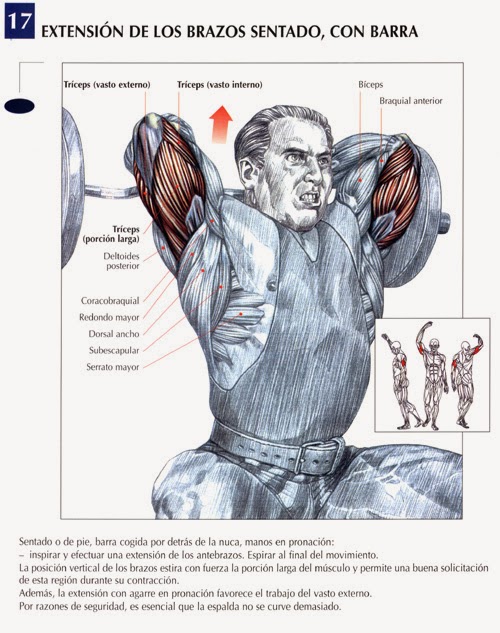 Mancuernas Ajustables Ejercicios De Musculaciu00f3n Flexiones De