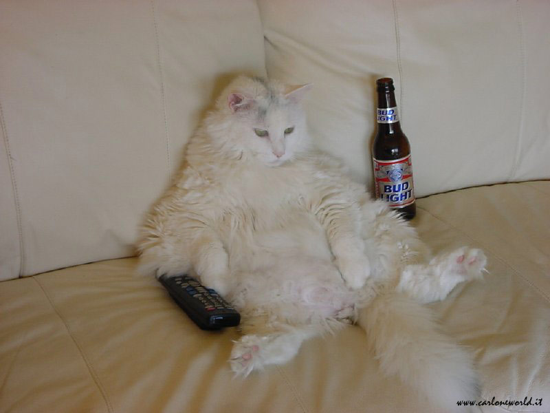 Lazy It