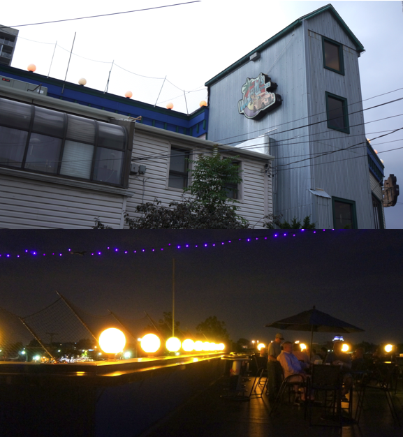 Michigan 1001 Daily Photo Woody's Rooftop Bar in Royal Oak