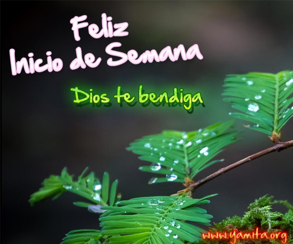 Afbeeldingsresultaten voor buen inicio de semana en ingles