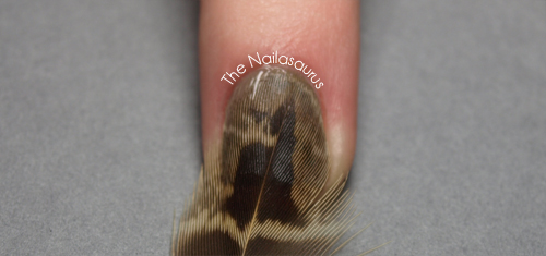Real Feather Nail Art - wide 8