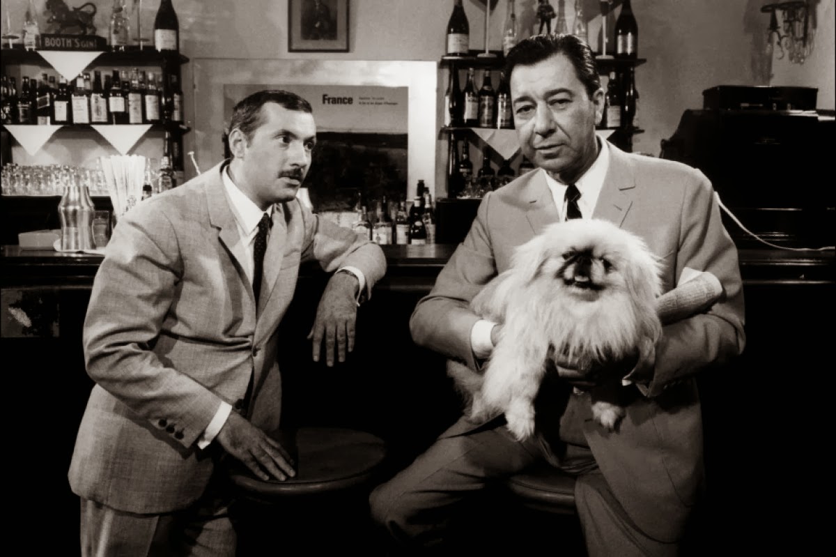 LE PLEIN DE SUPER QUAND PASSENT LES FAISANS