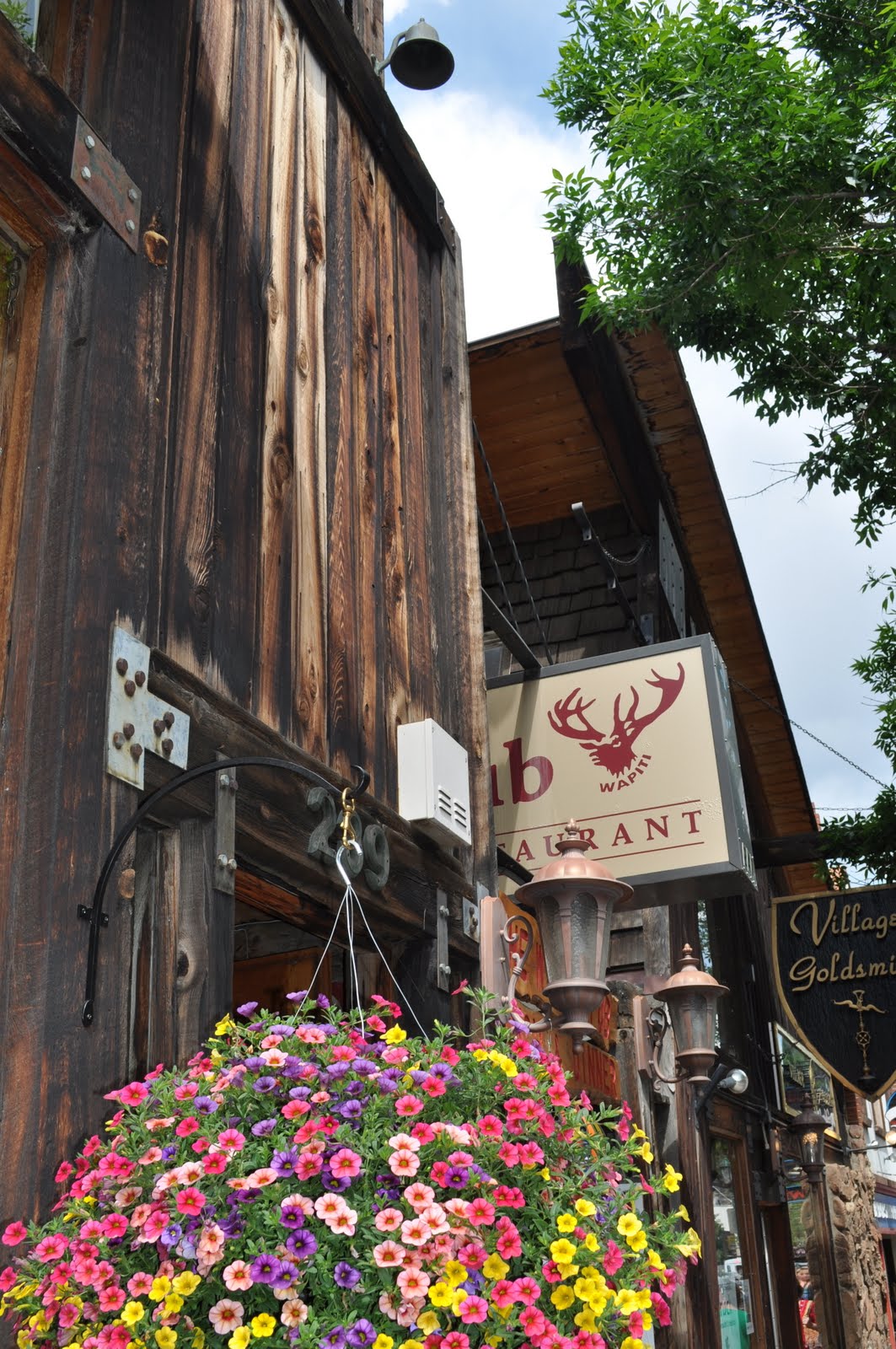 A Not Too Shabby Life: ESTES PARK, COLORADO