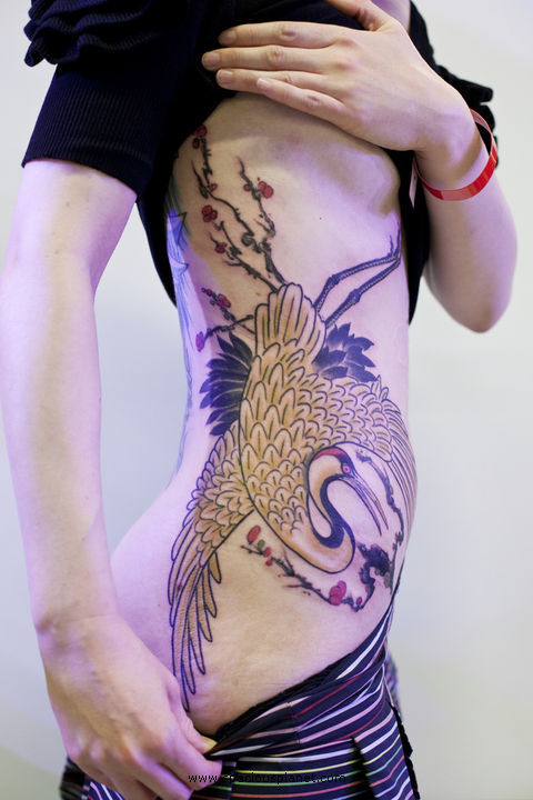 Birds tattoo designs are generally built nevertheless generally by simply