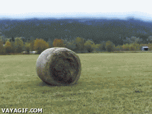     wrapping-hay.gif