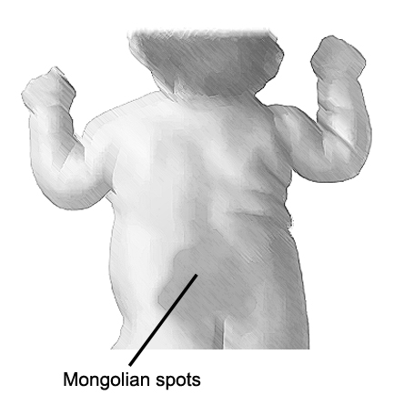 Sunday Morning Story August 2012