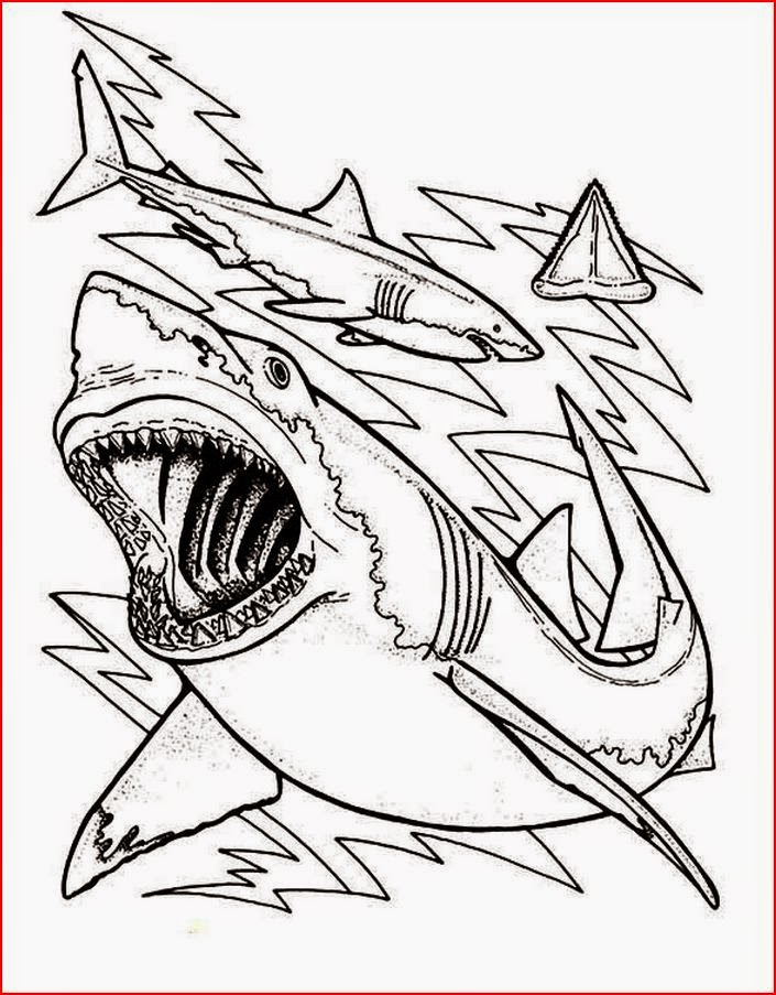 Coloring Pages: Shark Coloring Pages Free and Printable