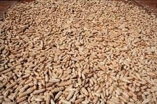Noventa milhões de dólares para projecto de irrigação em Manica