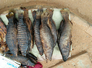 Dried Nile perch fish sold in Entebbe Town
