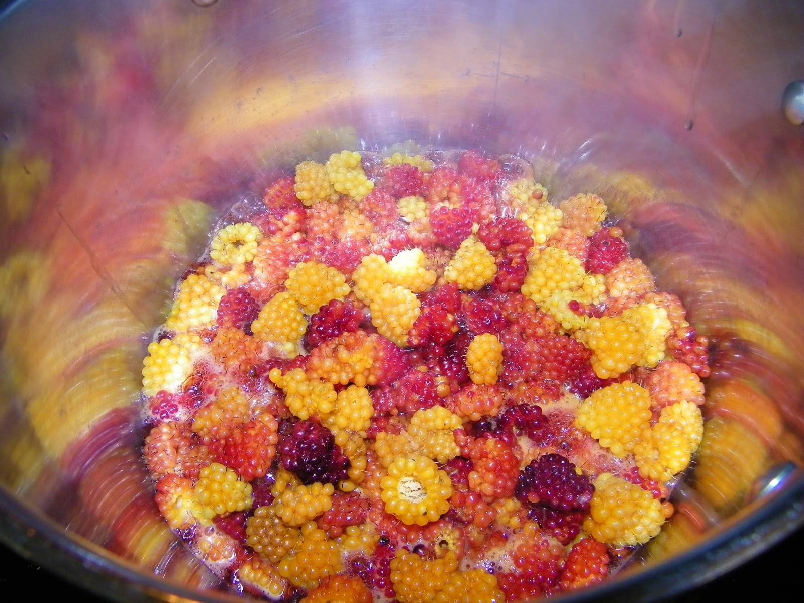 Salmonberry Syrup theapron