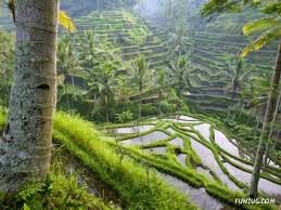 Menjaga Kelestarian Alam Menurut Islam