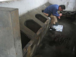 Размещенное изображение