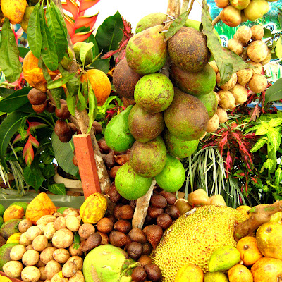 (Malaysia) - Penang - Tropical Fruit Farm