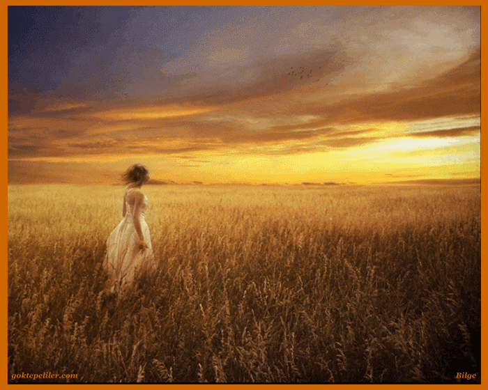 PinaÖlmekİstiyor: Başak Tarlasında Elini Başaklara Sürerek Yürüyen Kız