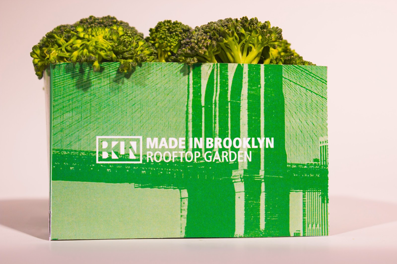 Made in Brooklyn (Student Project) on Packaging of the World Creative