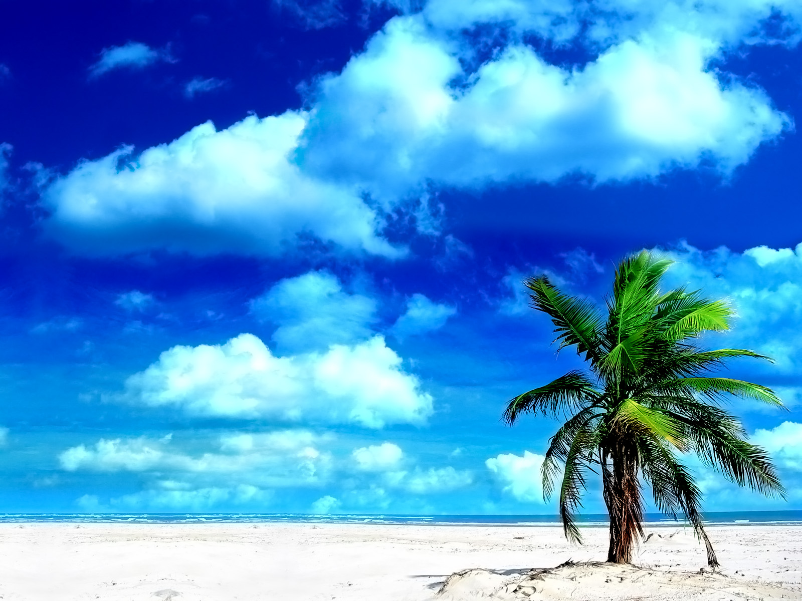 http://3.bp.blogspot.com/-eWDTiR3hGCg/TmdyZXyj7XI/AAAAAAAAFew/Ne5zyd_wKbk/s1600/Beach+wallpaper+desktop1.jpg
