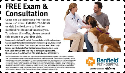 petsmart coupons petsmart coupons