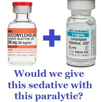What Meds Can You Give A Dog What Meds Can You Give A Dog