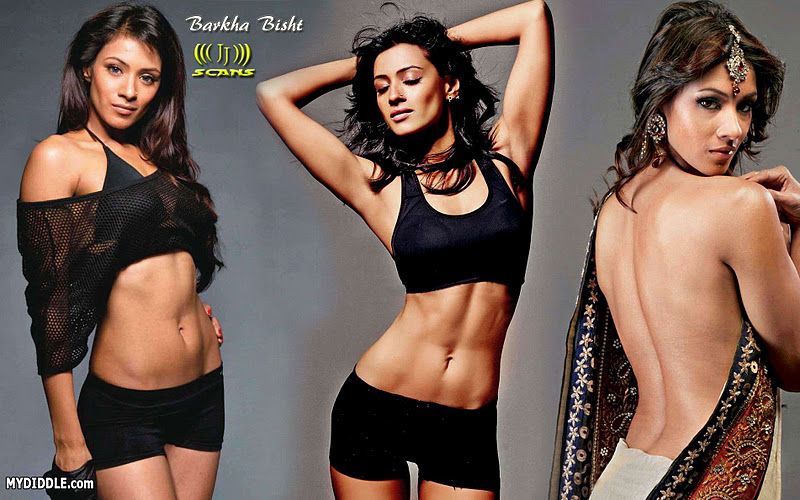 Barkha Bisht Sengupta Hot Wallpaper1 - Barkha Bisht Sengupta Hot Wallpaper