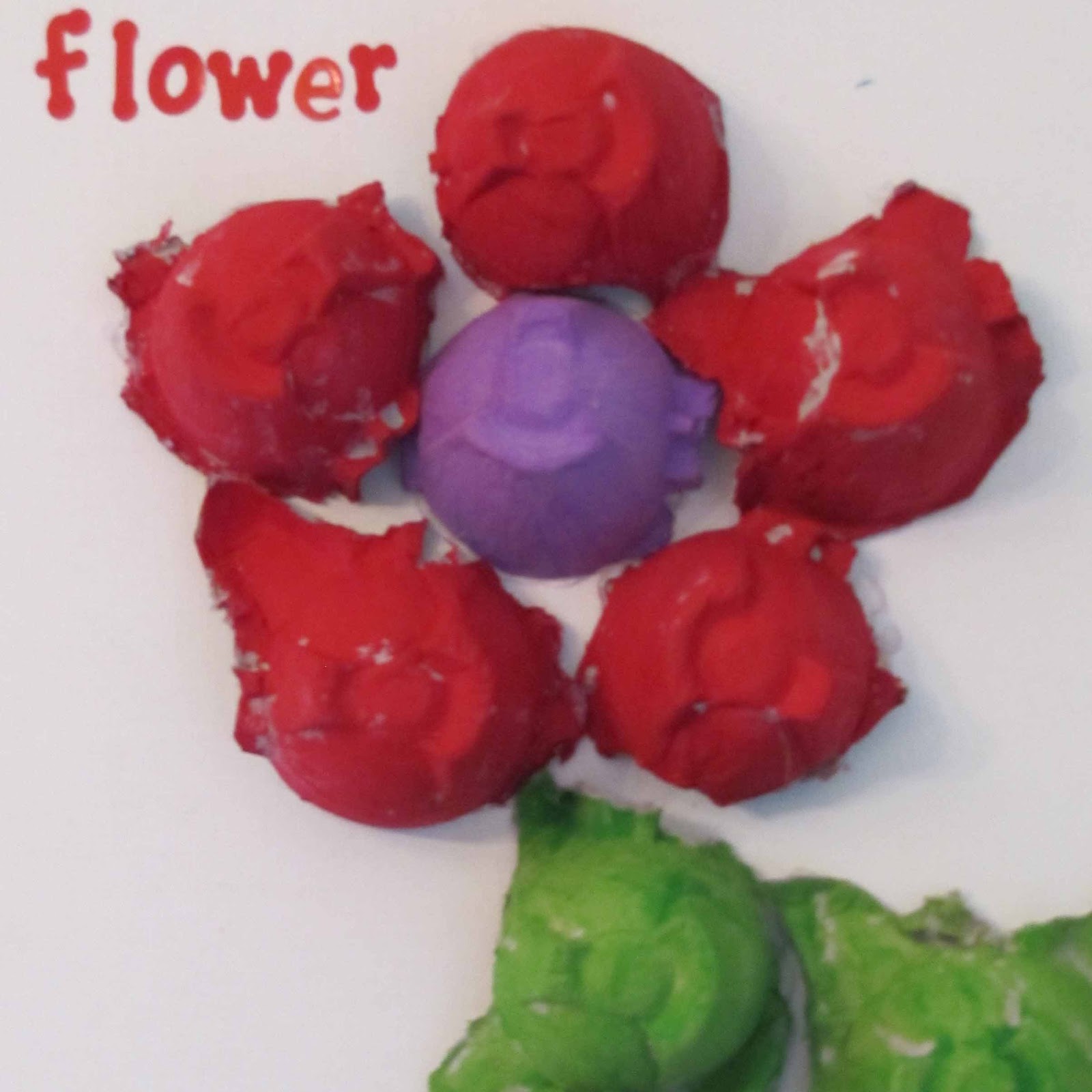 Parts of a Plant Egg Carton Craft School Time Snippets