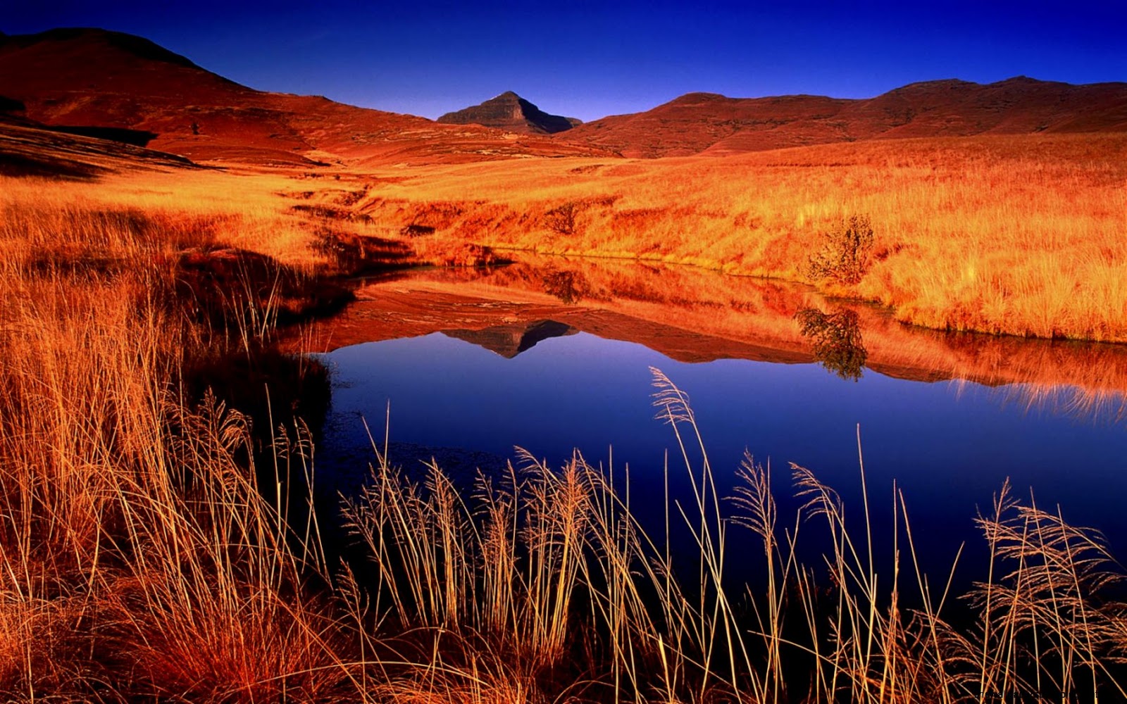 Nature Desktop Backgrounds Africa Nature Desktop Backgrounds Africa