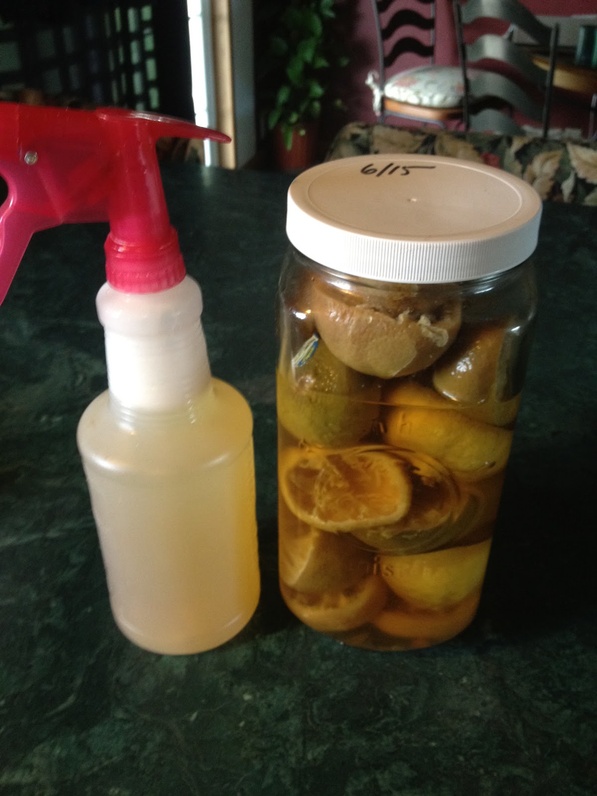 Health Starts in the Kitchen DIY Citrus Enzymatic Cleaner