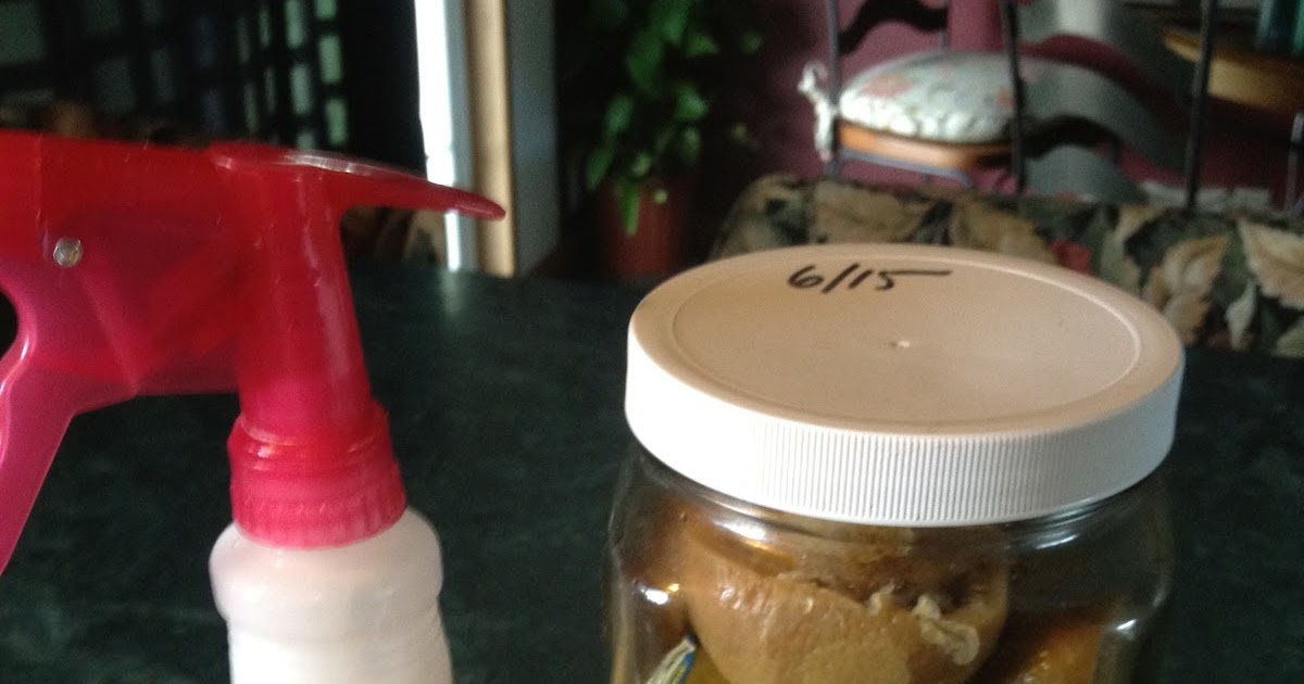 Health Starts in the Kitchen DIY Citrus Enzymatic Cleaner