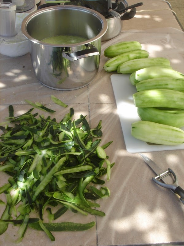 EL SEXAGENARIO PEPINOS CONSERVAR Y CONGELAR