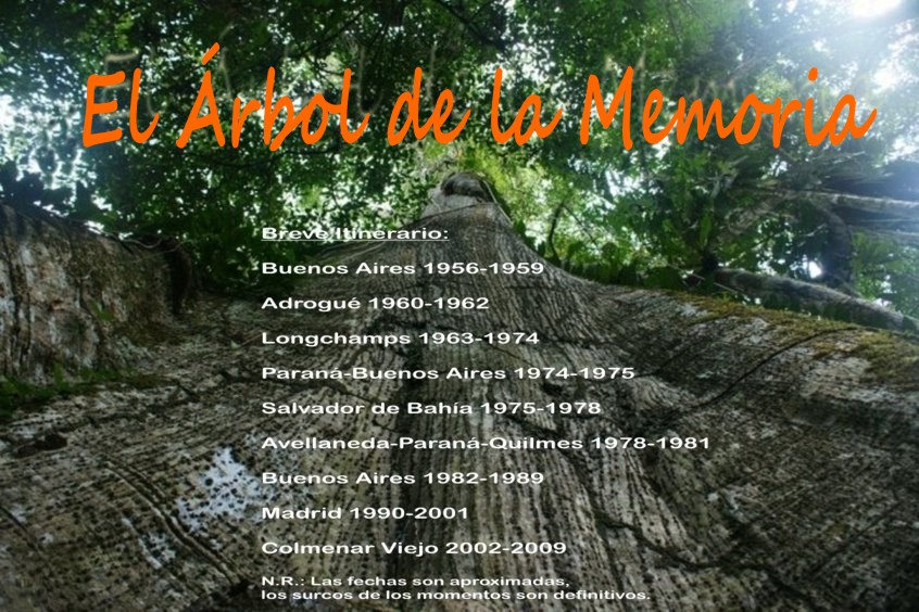 El Arbol de la Memoria