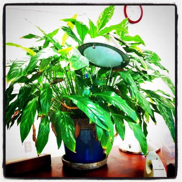 And Then There Were Six Instagram