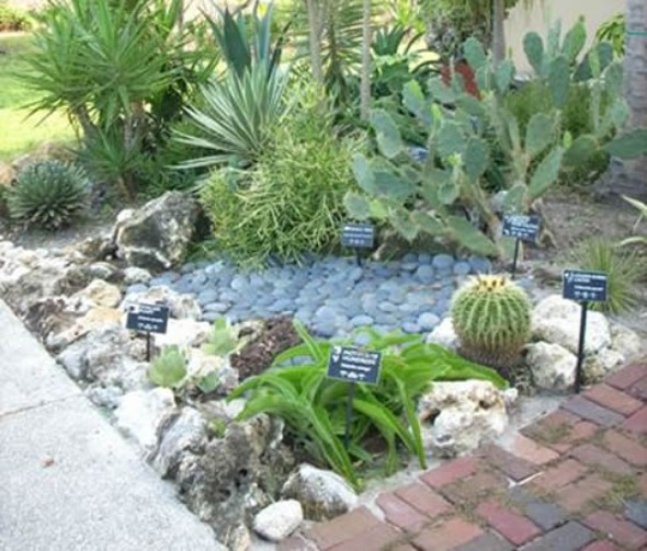 Small Garden Decoration Ideas Photograph | Small Garden