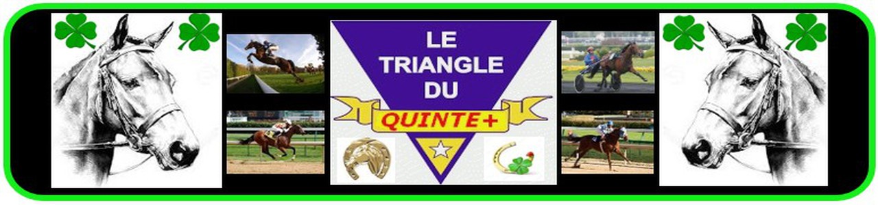 Le Triangle Du Quinte