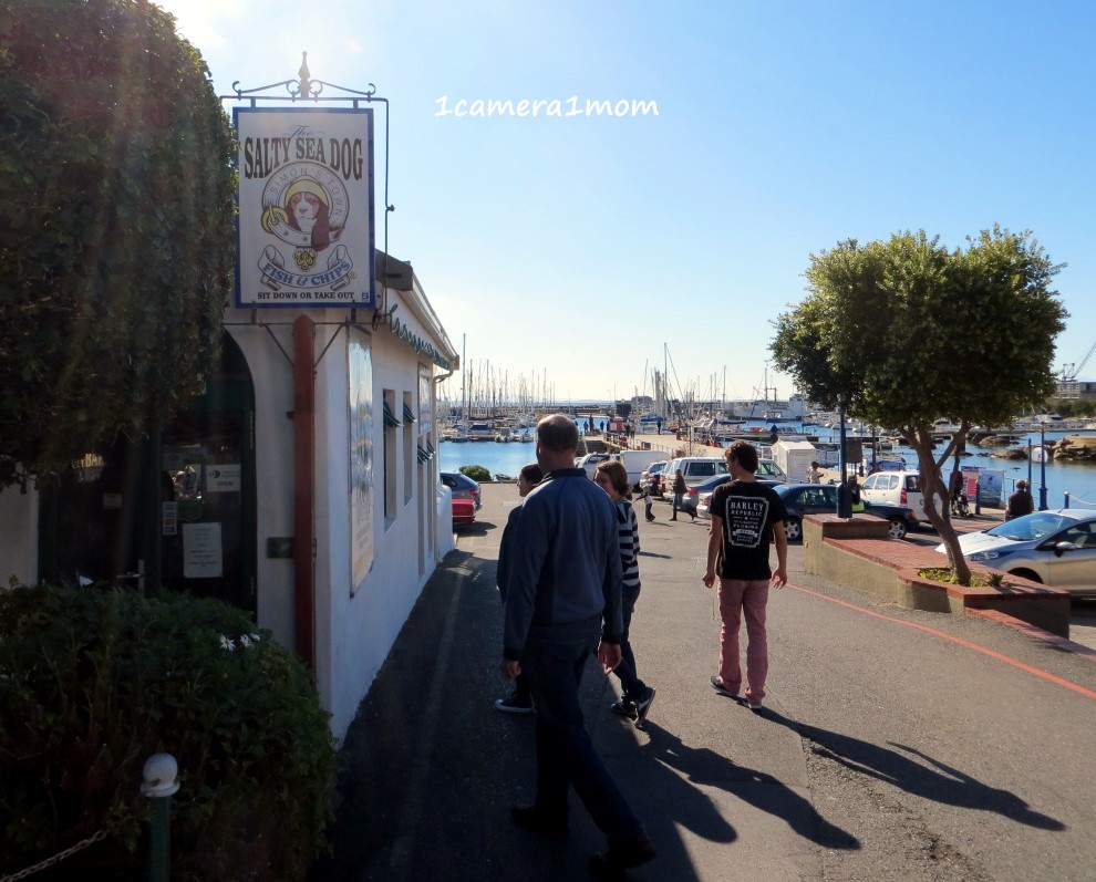 1camera1mom Simon's Town Part 2