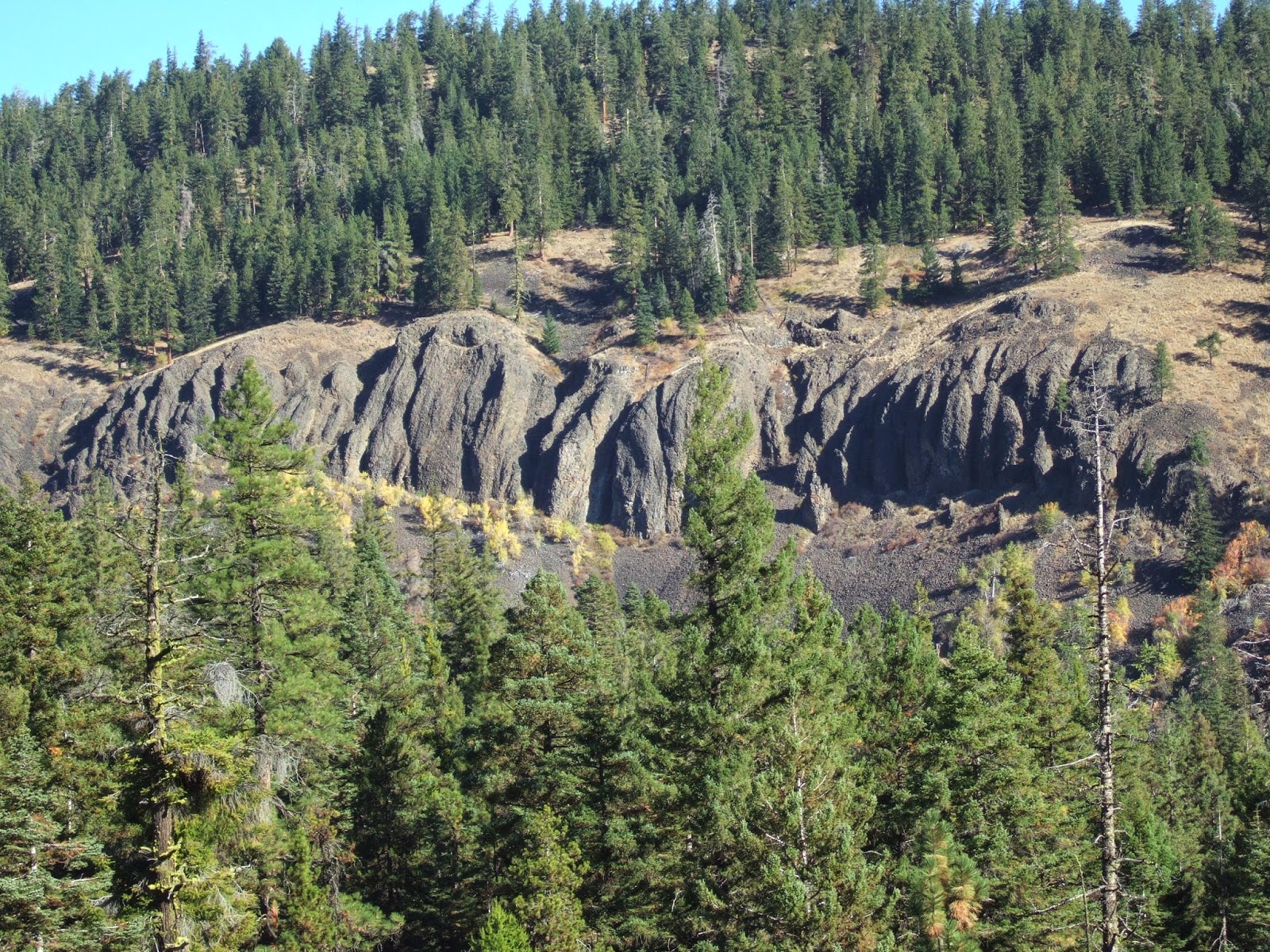Reading the Washington Landscape A Break from the CRBG Violent