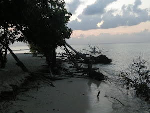 Soil erosion on the North coast of Omadhoo Island.