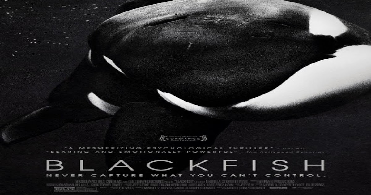 Watch Blackfish 2013 Full Movie Online Streaming Black Fish Movie Channel