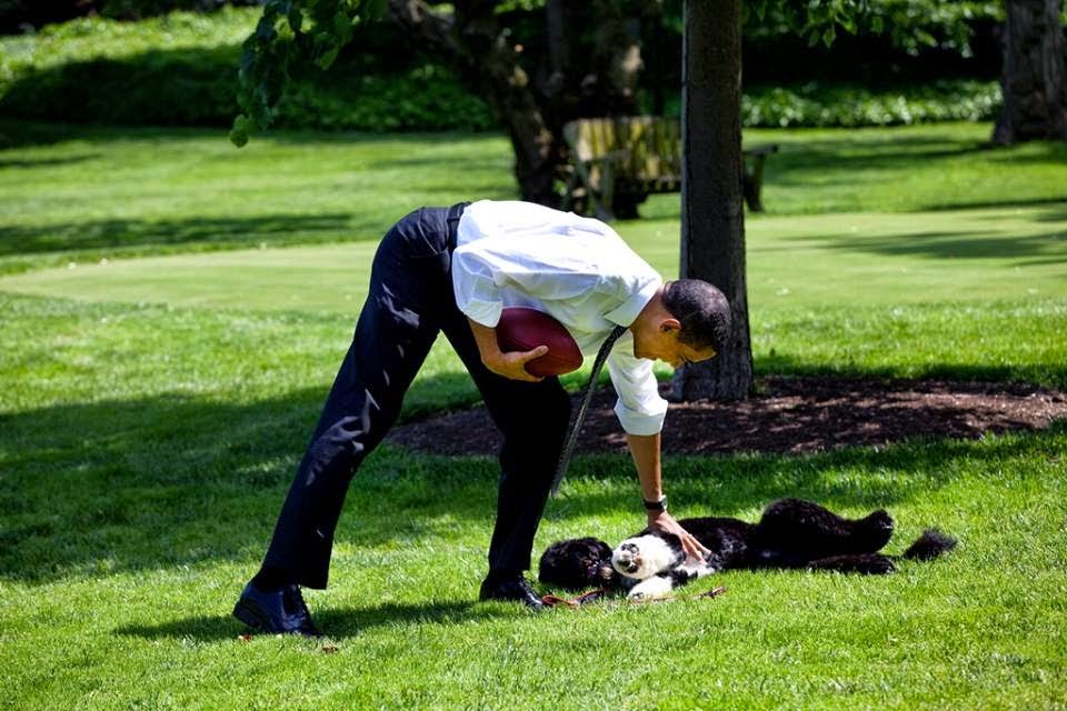 OBAMA AND BO!