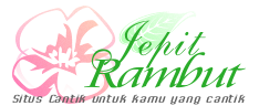 Jepit Rambut