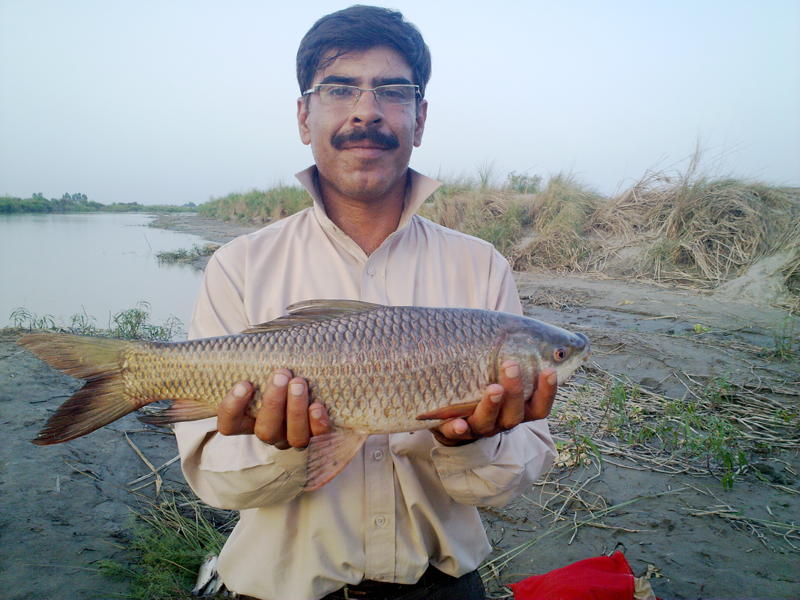 Fishing In Pakistan Fishing in Pakistan (Near D G Khan) 2010