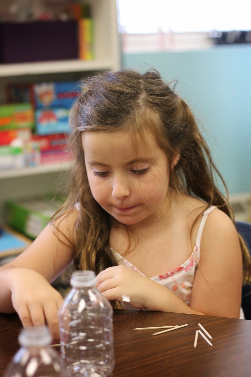 Teach Them To Fly Rain Sticks