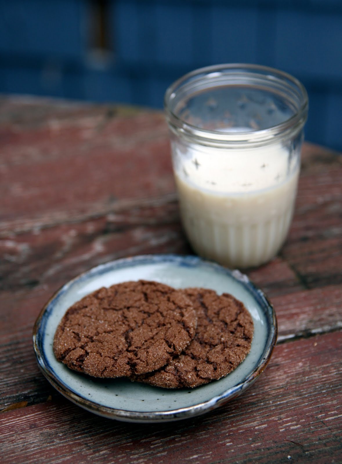 Chocolate Cinnamon Cookies Recipe mostly foodstuffs