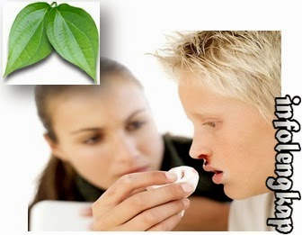 Tips Cara Atasi, Cegah, Obati Mimisan Alami