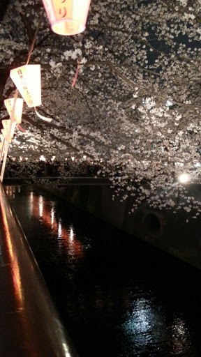 20130326-o0405072012472421962.jpg